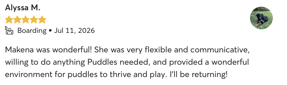 Verified 5-star Rover review from Alyssa M. about boarding
