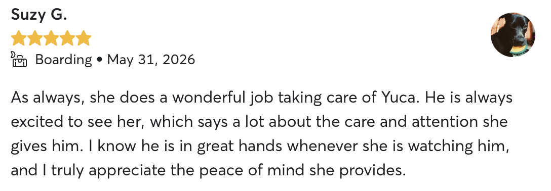 Verified 5-star Rover review from Suzy G. about boarding